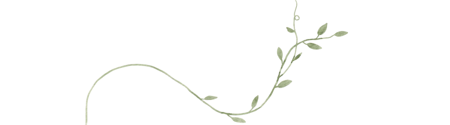 banner lístky levandes (900 x 250 px)
